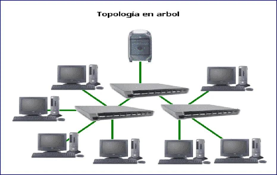 redes de computadoras arbol - Dónde se utiliza la red de árbol